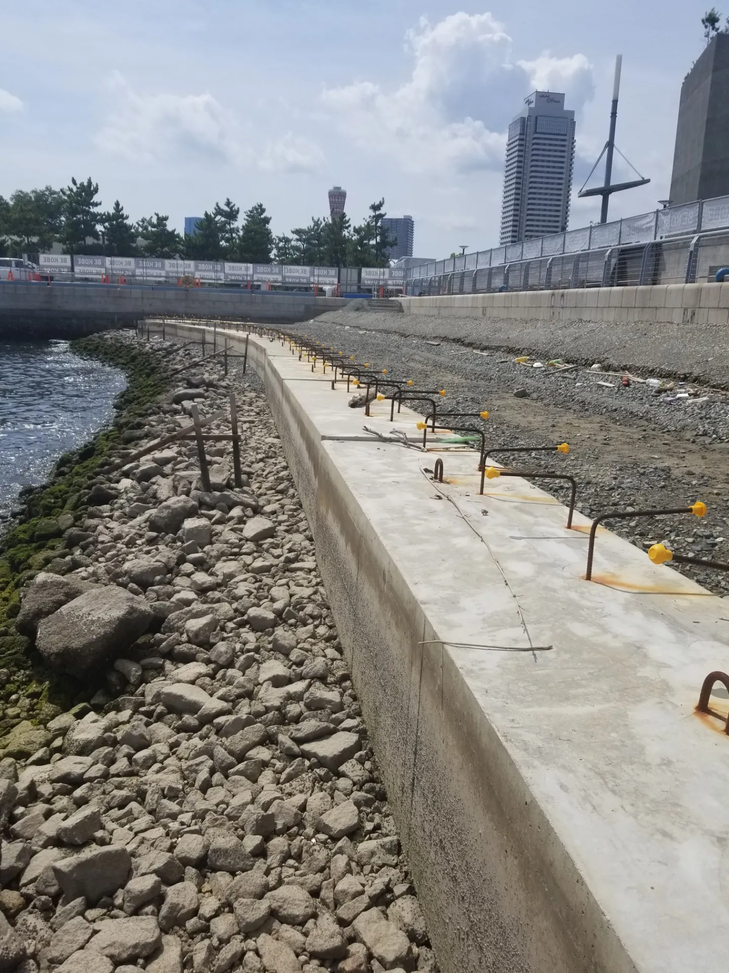 1月7日は、、、